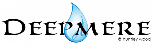 DeepmereLogo