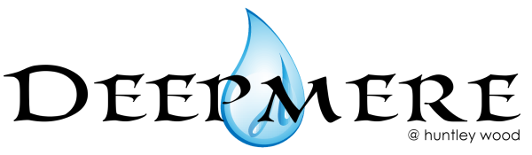 DeepmereLogo